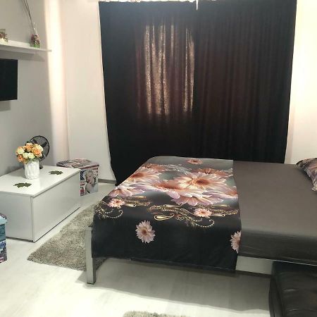 Ferienwohnung Garsoniera Aleea Trandafirilor Băile Herculane Exterior foto