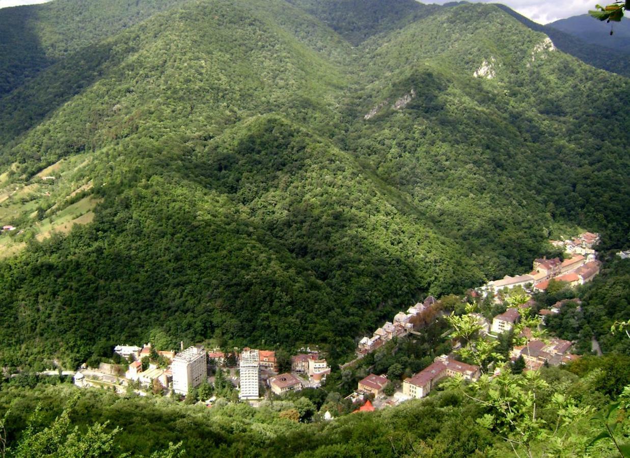 Ferienwohnung Garsoniera Aleea Trandafirilor Băile Herculane Exterior foto