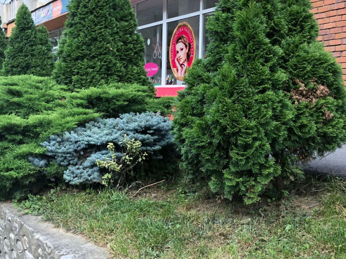 Ferienwohnung Garsoniera Aleea Trandafirilor Băile Herculane Exterior foto